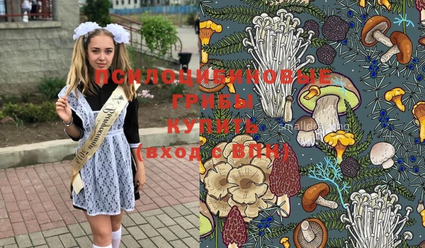 дживик Кинешма