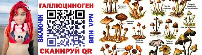 MEGA маркетплейс  Новое Девяткино  Галлюциногенные грибы Psilocybe 